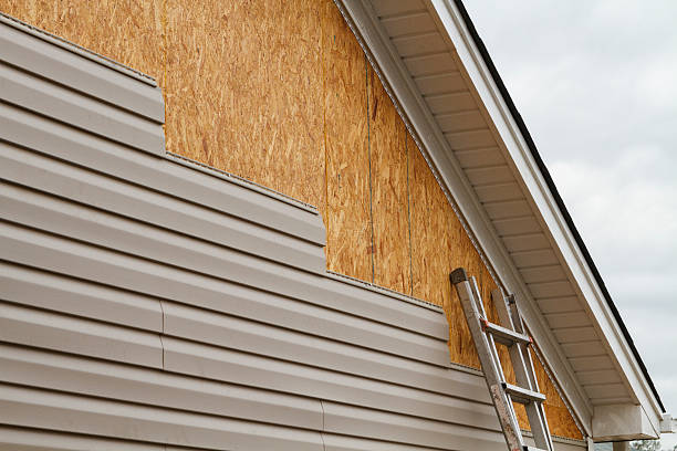 Professional Siding Inspection technician working in Houston, OH